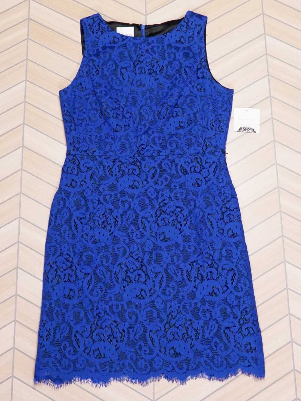 NWT Donna Morgan Royal Blue Lace Sheath Dress